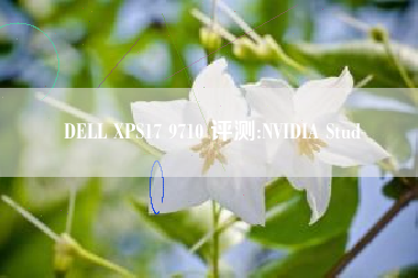 DELL XPS17 9710 评测:NVIDIA Stud