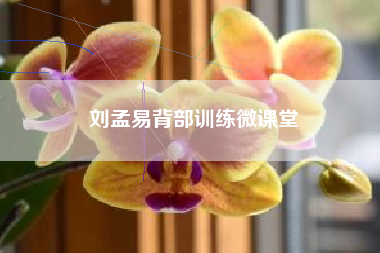 刘孟易背部训练微课堂