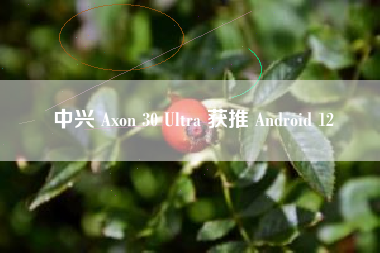 中兴 Axon 30 Ultra 获推 Android 12