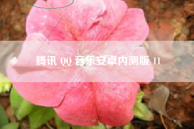 腾讯 QQ 音乐安卓内测版 11