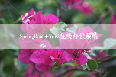 SpringBoot+Vue3在线办公系统