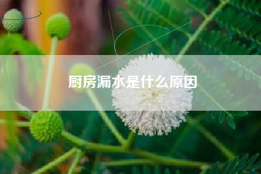 厨房漏水是什么原因