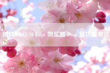 微软Win11/10 Edge 浏览器 Drop 新功能测试