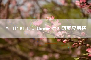 Win11/10 Edge、Chrome PWA 网页应用将