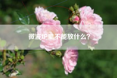 微波炉里不能放什么？