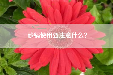 砂锅使用要注意什么？