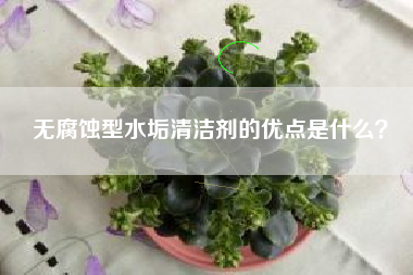 无腐蚀型水垢清洁剂的优点是什么？