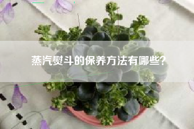 蒸汽熨斗的保养方法有哪些？