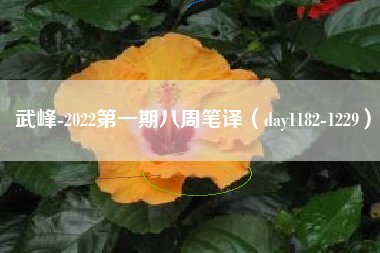 武峰-2022第一期八周笔译（day1182-1229）