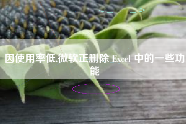 因使用率低,微软正删除 Excel 中的一些功能