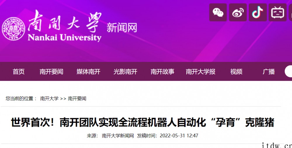 南开大学团队:实现世界首次全流程机器人自动化“孕育”克隆猪