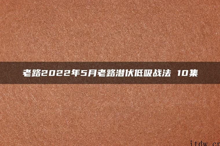 老路2022年5月老路潜伏低吸战法 10集