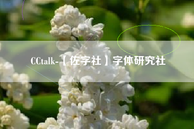 CCtalk-【佐字社】字体研究社