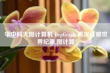 华中科大图计算机 DepGraph 再次打破世界纪录,图计算