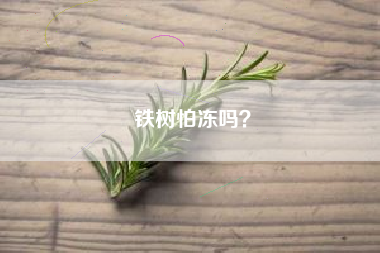 铁树怕冻吗？