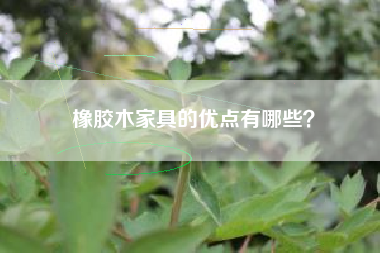 橡胶木家具的优点有哪些？