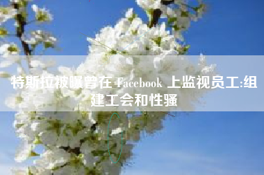 特斯拉被曝曾在 Facebook 上监视员工:组建工会和性骚