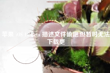 苹果 iOS 16 Beta 描述文件偷跑,但暂时无法下载更