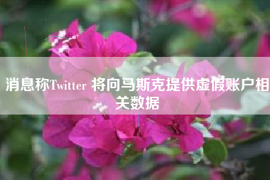 消息称Twitter 将向马斯克提供虚假账户相关数据