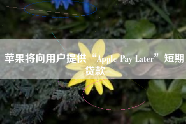 苹果将向用户提供“Apple Pay Later”短期贷款