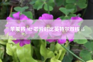 苹果将 M2 芯片对比英特尔双核 i5