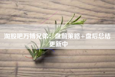 淘股吧万博兄弟：盘前策略+盘后总结 更新中