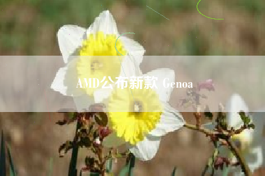 AMD公布新款 Genoa