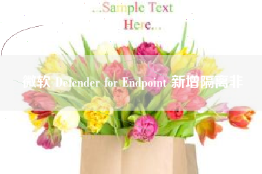 微软 Defender for Endpoint 新增隔离非