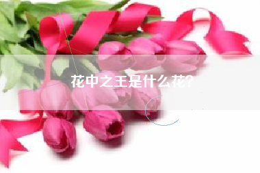 花中之王是什么花？