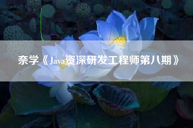 奈学《Java资深研发工程师第八期》