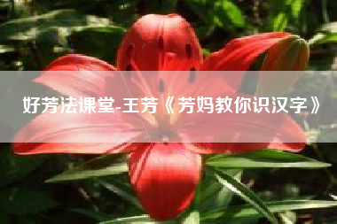 好芳法课堂-王芳《芳妈教你识汉字》