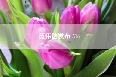 英伟达发布 516