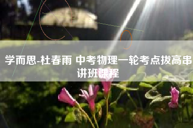 学而思-杜春雨 中考物理一轮考点拔高串讲班课程