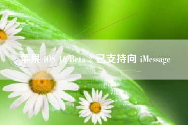 苹果 iOS 16 Beta 2 已支持向 iMessage