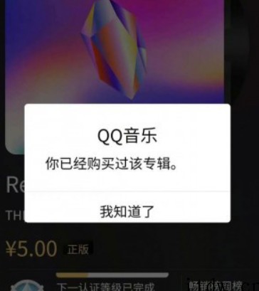 QQ音乐恢复重复购买专辑,最多 10 张,网友:因为周杰伦要