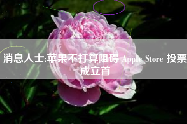 消息人士:苹果不打算阻碍 Apple Store 投票成立首