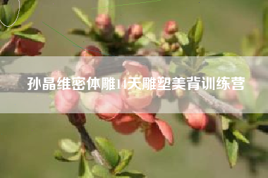 孙晶维密体雕14天雕塑美背训练营