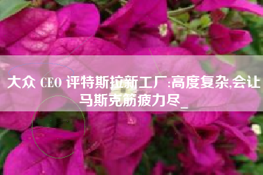 大众 CEO 评特斯拉新工厂:高度复杂,会让马斯克筋疲力尽_