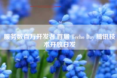 服务数百万开发者,首届 Techo Day 腾讯技术开放日发