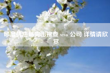 印度执法局突击搜查 vivo 公司 详情请欣赏