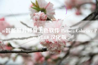 ai智能照片修复上色软件 Picture Colorizer Pro V2.4.0 汉化版