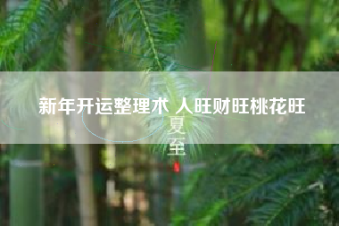 新年开运整理术 人旺财旺桃花旺