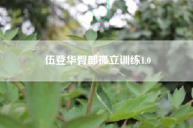 伍登华臀部孤立训练1.0