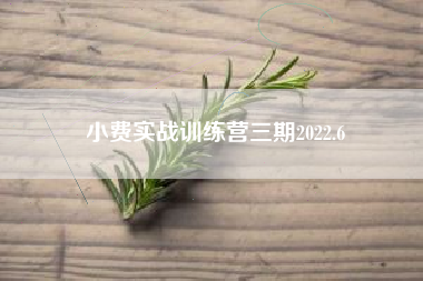 小费实战训练营三期2022.6