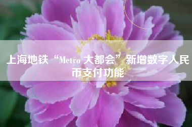 上海地铁“Metro 大都会”新增数字人民币支付功能