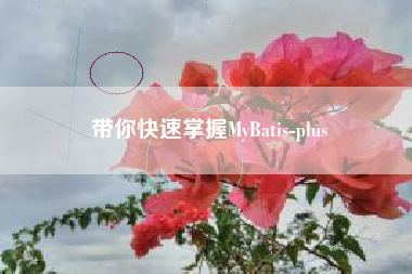 带你快速掌握MyBatis-plus