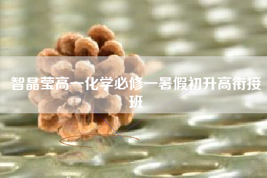 智晶莹高一化学必修一暑假初升高衔接班