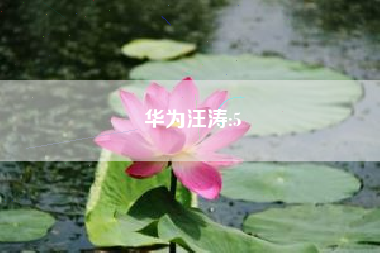 华为汪涛:5