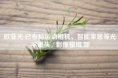 欧菲光:已布局运动相机、智能家居等光学镜头 / 影像模组,部