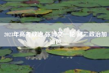 2023年高考政治 张博文一轮 高二政治加油包